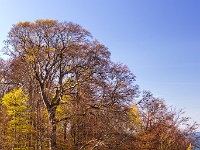 Nationalpark Jasmund