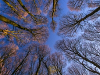Nationalpark Jasmund