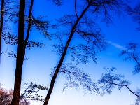 Nationalpark Jasmund