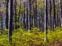 Nationalpark Jasmund