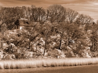 Hiddensee