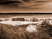 Hiddensee