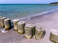 Hiddensee