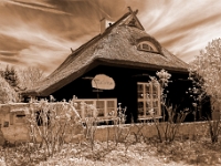 Hiddensee