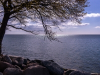 Sassnitz