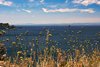 DSC_9715