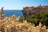 Bonifacio