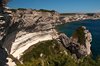 Bonifacio