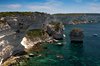 Bonifacio