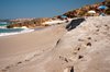 Tharros