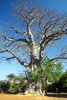 Senegal: Rezerwat Bandia