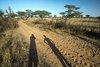 Senegal: W oczekiwaniu na wymianę koła.