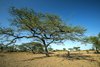 Senegal: W oczekiwaniu na wymianę koła.