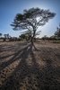 Senegal: W oczekiwaniu na wymianę koła.