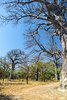 Senegal: Rezerwat Bandia