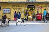 Ulice Saint Louis. Senegal
