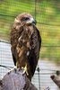 Fathala Wildlife Reserve