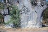 Senegal: Rezerwat Bandia