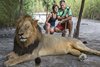 Fathala Wildlife Reserve - spacer z lwami
