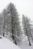 20150204_154612