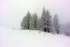 20150204_154355