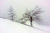 20150204_151506