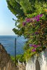 Positano