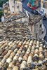Ragusa