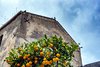 Milazzo