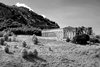 Segesta