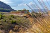 Segesta