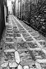 Erice