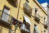 Trapani
