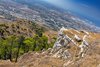 Erice