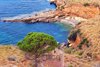Scopello