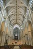 York - katedra