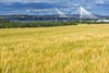 Firth of Forth