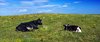 South Ronaldsay, Orkney