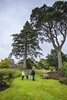Brodick Castle, Garden and Country Park