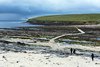 Brough Of Birsay