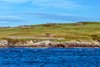 Stroma