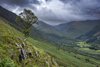 W drodze na Ben Nevis