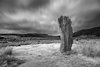 Machrie Moor Standing Stones