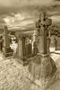 Royal cemetery, Stirling