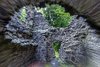 Huntly Castle