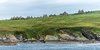 Stroma