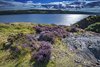 Dumbarton Castle
