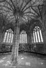 Elgin Cathedral
