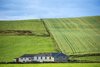 Birsay Caravan Park & Hostel