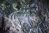  King's Caves